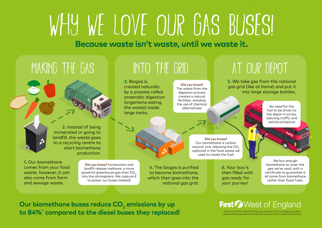 Greening our fleet First Bus